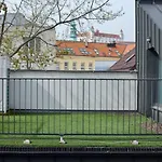 Wild Elephants * Братислава