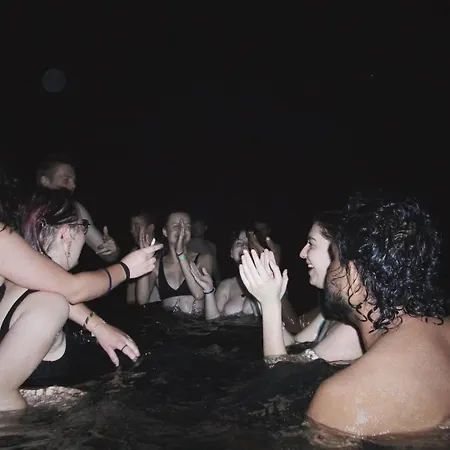 Wild Elephants 旅馆 *