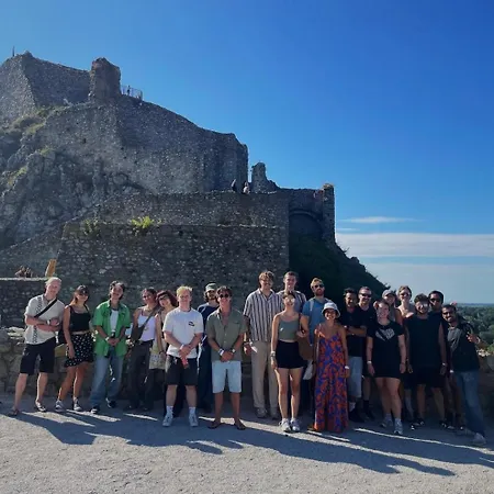 Wild Elephants 旅馆 布拉迪斯拉发