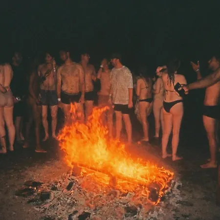 Wild Elephants 布拉迪斯拉发