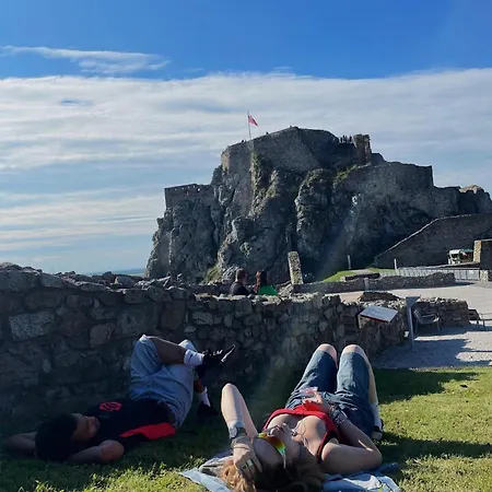 Wild Elephants 旅馆 *