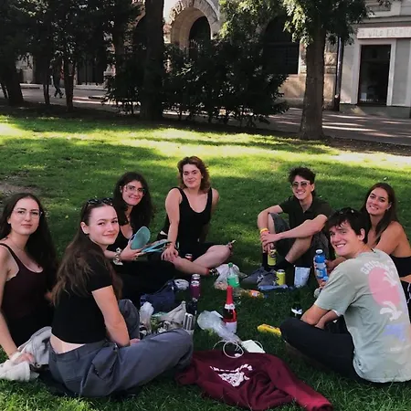 Wild Elephants 布拉迪斯拉发