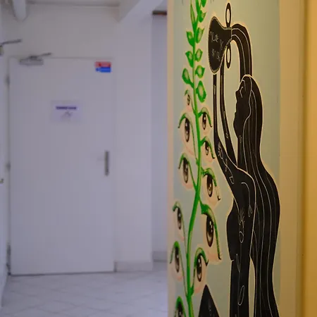 Wild Elephants Hostel *