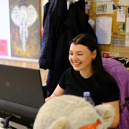 旅馆 Wild Elephants *