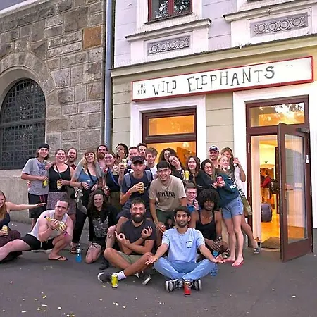 Hostel Wild Elephants Pressburg