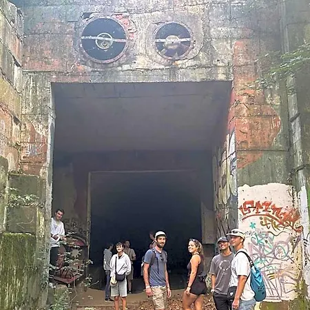 Wild Elephants Hostel *