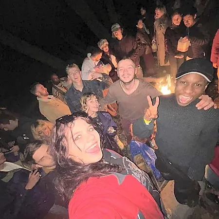 Wild Elephants Hostel Pressburg