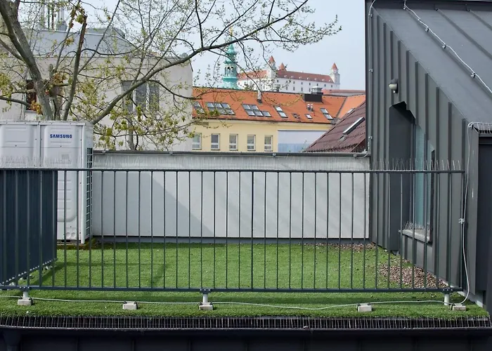 Wild Elephants * 布拉迪斯拉发