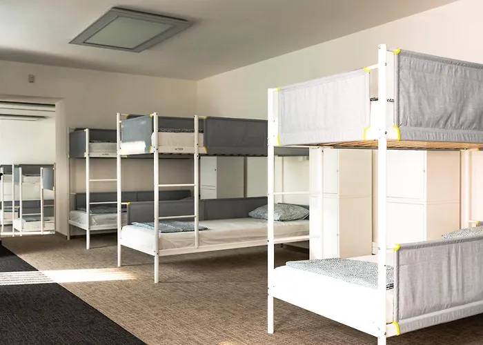 Wild Elephants Братислава