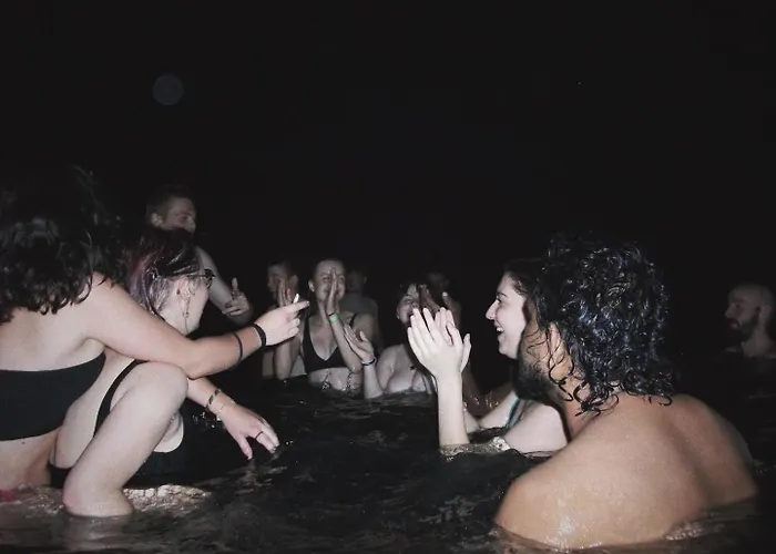 Wild Elephants Hostel *