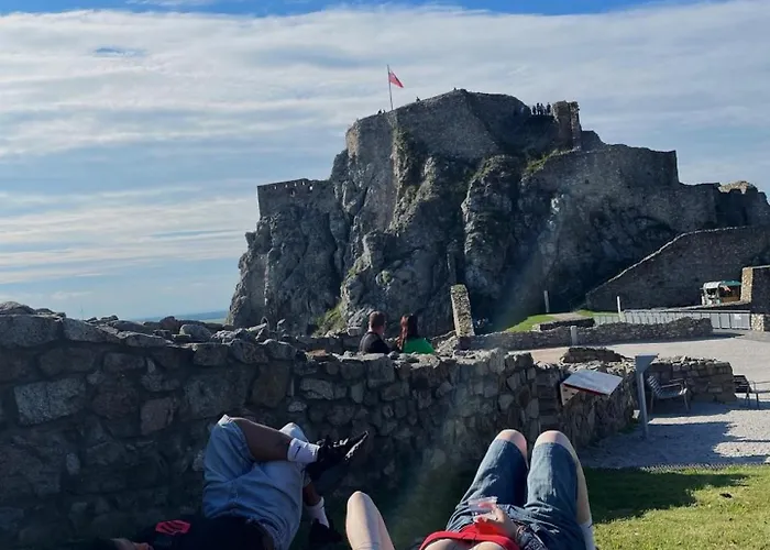 Wild Elephants 旅馆 *