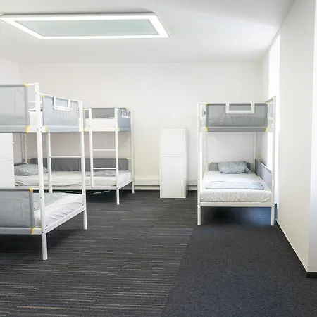 Wild Elephants Albergue