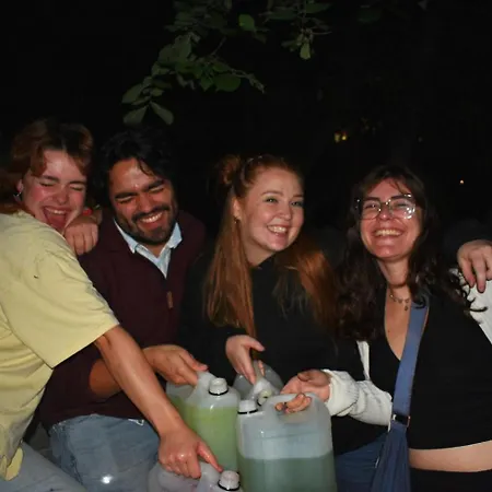 Hostel Wild Elephants