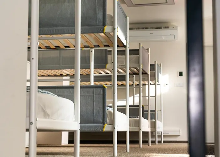 Wild Elephants Albergue Bratislava