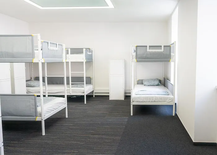 Wild Elephants Albergue